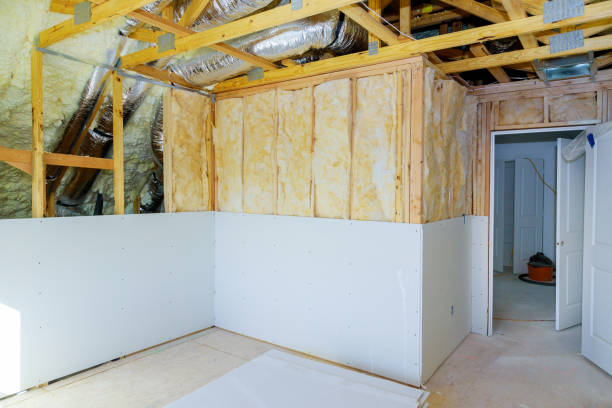 Insulation Repair Services in Warm Mineral Springs, FL