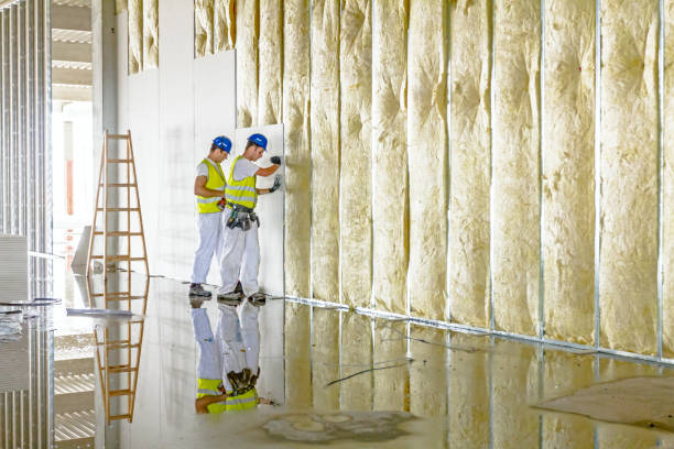 Best Attic Insulation Installation  in Warm Mineral Springs, FL